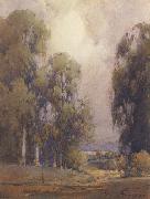 unknow artist Eucalyptus Landscape oil painting